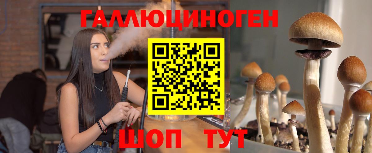 Псилоцибиновые грибы MAGIC MUSHROOMS Красноярск