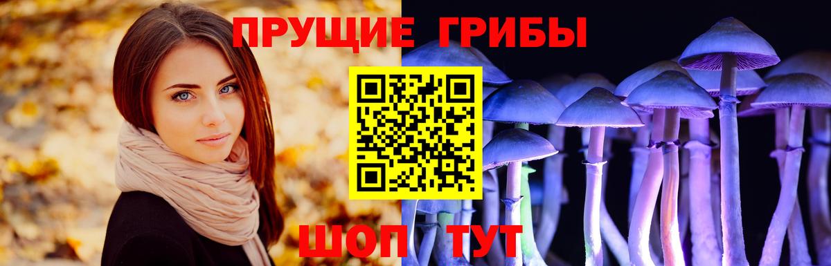 Галлюциногенные грибы ЛСД  Вход с VPN  Красноярск  Галлюциногенные грибы ЛСД 